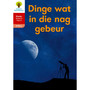 Oxford Storieboom Klanke Graad 2 Leesboek 18: Dinge wat in die nag gebeur (Nie-fiksie) - ISBN 9780190720384