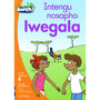 Aweh! Intengu nosapho lwegala - ISBN 9780190428587