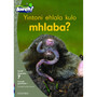 Aweh! Yintoni ehlala kulo mhlaba? - ISBN 9780190427498