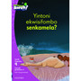 Aweh! Yintoni ekwisifombo senkamela? - ISBN 9780190434588