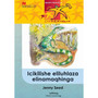 Abafundayo Ziinkokheli Ibanga 5 Icikilishe Eliluhlaza Elinamaqhinga - ISBN 9780853201663