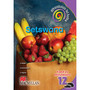Dtb Setswana HL Grade 12 Teacher's Guide - ISBN 9781431014798