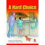 Flying Start a Hard Choice L29 - ISBN 9781743201633