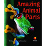Flying Start Amazing Animal Parts L4 - ISBN 9781743205761