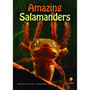 Flying Start Amazing Salamander L25 - ISBN 9781743201442