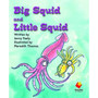 Flying Start Big Squid and Little Squid L7 - ISBN 9781742340517