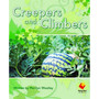 Flying Start Creepers and Climb L12 - ISBN 9781742340807