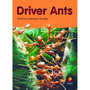 Flying Start Driver Ants L20 - ISBN 9781742341262