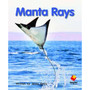 Flying Start Manta Rays L12 - ISBN 9781743208267