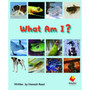 Flying Start What Am I? L6 - ISBN 9781742340425