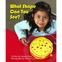 Flying Start What Shape Can You See? L1 - ISBN 9781743205549