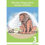Ibhubesi Negundane isiZulu Grade 3 Level 2 Reader - ISBN 9781431001835