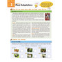 Kumon STEM Missions: Life Science - ISBN 9781941082836