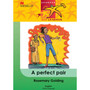 Ral Grade 4 a Perfect Pair - ISBN 9780797821729