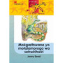Babadi Ke Baetapele Kreiti 5 Mokgaritswane Yo Motalamorogo Wa Sehwirihwiri - ISBN 9781431012251
