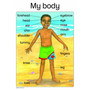 My Body - ISBN 9781431040155