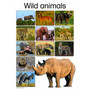 Wild Animals - ISBN 9781431040339