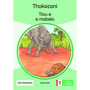 Tlou E E Mabela - Grade 1 - ISBN 9781431054091