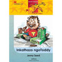 DIGITAL - Abafundayo Ziinkokheli Ibanga 5 Inkathazo Ngotoddy Ebook - ISBN 9781431035007