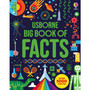 Big Book of Facts - ISBN 9781805071174