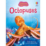 Beginners Octopuses - ISBN 9781805079675