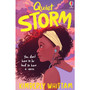 Quiet Storm - ISBN 9781803708065