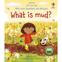 Very First Questions and Answers: What is mud? - ISBN 9781803708126
