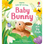 Little Lift and Look Baby Bunny - ISBN 9781803701653