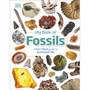 My Book of Fossils - ISBN 9780241533369