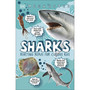 Sharks - ISBN 9780241526576