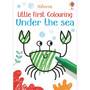 Little First Colouring Under the Sea - ISBN 9781474980579