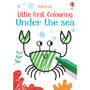 Little First Colouring Under the Sea - ISBN 9781474980579