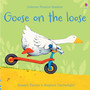 Goose on the loose - ISBN 9781474970181