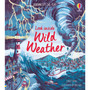 Look Inside Wild Weather - ISBN 9781474968874