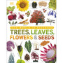 Our World in Pictures: Trees, Leaves, Flowers & Seeds - ISBN 9780241339923