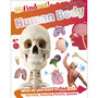 DKfindout! Human Body - ISBN 9780241285077