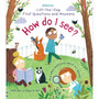 First Questions and Answers: How do I see? - ISBN 9781474917926