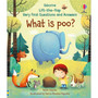 Very First Questions and Answers What is poo? - ISBN 9781474917902