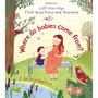 First Questions and Answers: Where do babies come from? - ISBN 9781409598824