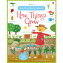 My First Book About How Things Grow - ISBN 9781409593584