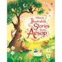 Illustrated Stories from Aesop - ISBN 9781409538875