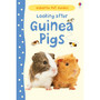Looking after Guinea Pigs - ISBN 9781409561880