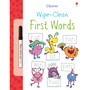 Wipe-Clean First Words - ISBN 9781409551508