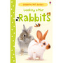 Looking after Rabbits - ISBN 9781409532439