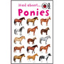Mad About Ponies - ISBN 9781846468001
