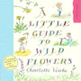 A Little Guide To Wild Flowers - ISBN 9781903919118