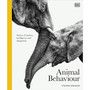 Animal Behaviour - ISBN 9780241719916