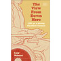 The View From Down Here - ISBN 9780241612767