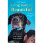 A Dog Named Beautiful - ISBN 9780552174770