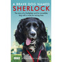 A Brave Dog Named Sherlock - ISBN 9781787460836